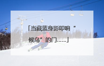 当藏蓝身影叩响“候鸟”的门……